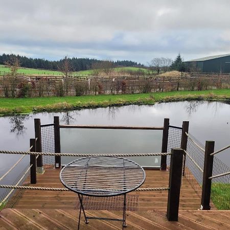 The Cabin At Forestview Farm Greenisland Exterior photo