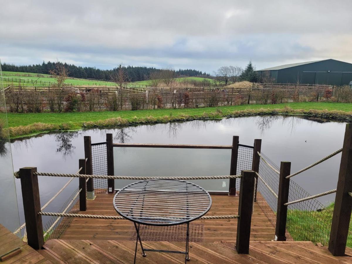 The Cabin At Forestview Farm Greenisland Exterior photo